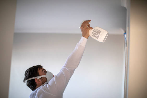 Best Mold Testing and Inspection Services in Bartonsville, MD